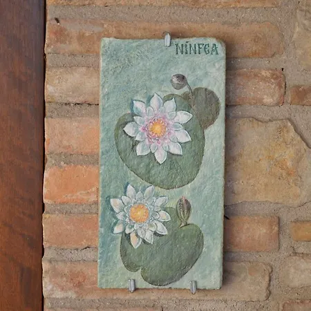 La Sorgente Del Subasio *